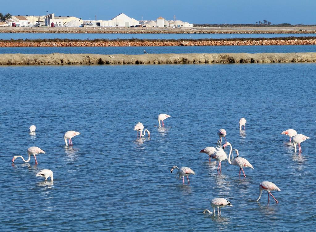 Apartament Masquestar Mar Menor Torre-Pacheco Zewnętrze zdjęcie